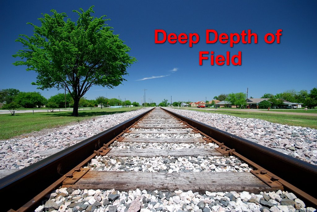 Deep DOF tracks label